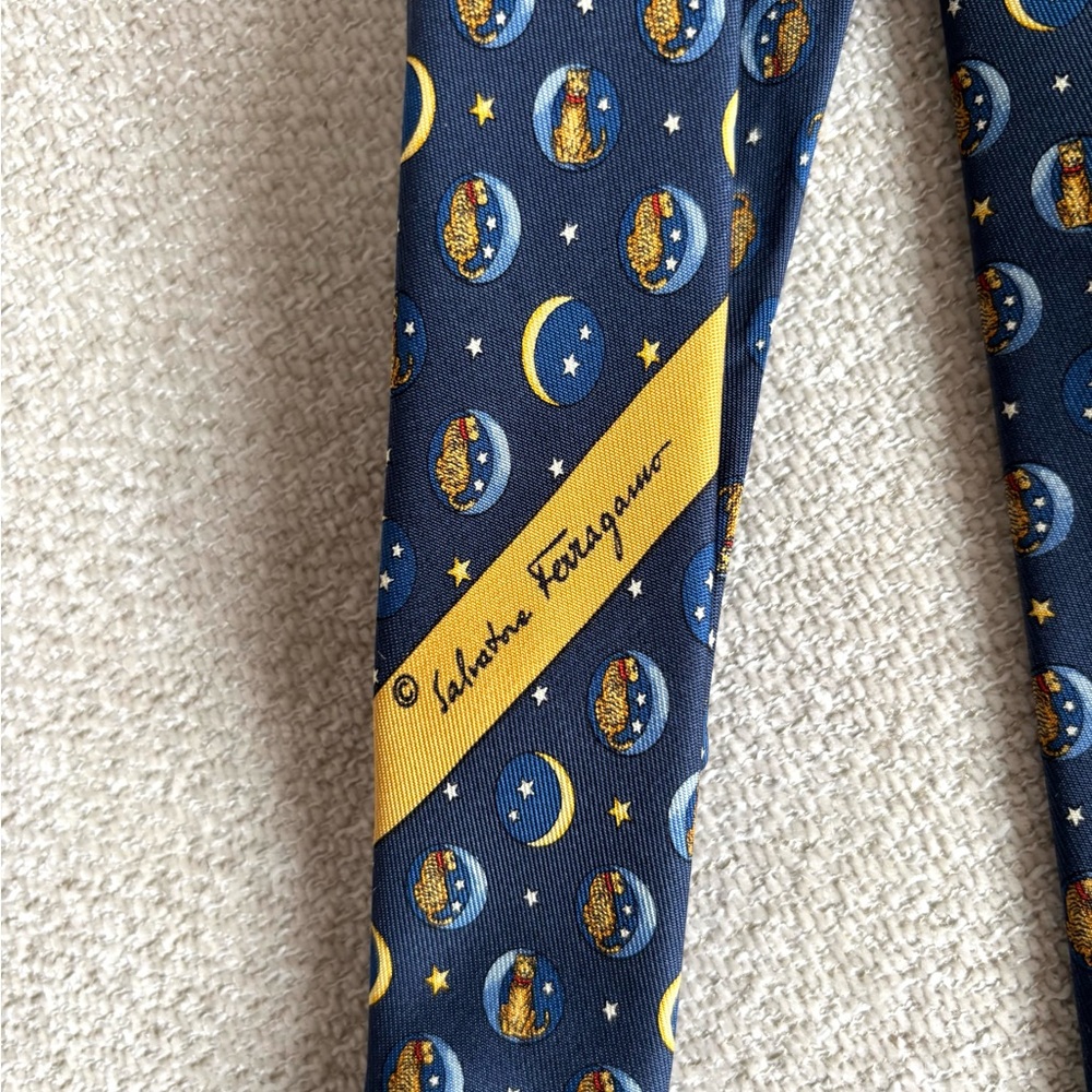 Salvatore Ferragamo tie - Picture 3 of 8